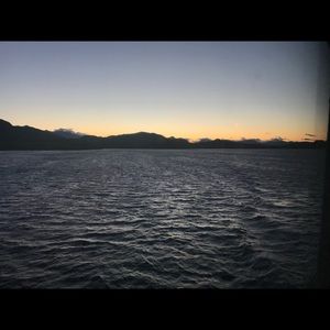 Meet your Posher, Molly